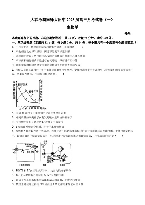 湖南省长沙市师大附中2024—2025学年高三上学期月考卷(一)生物试题(含答案)