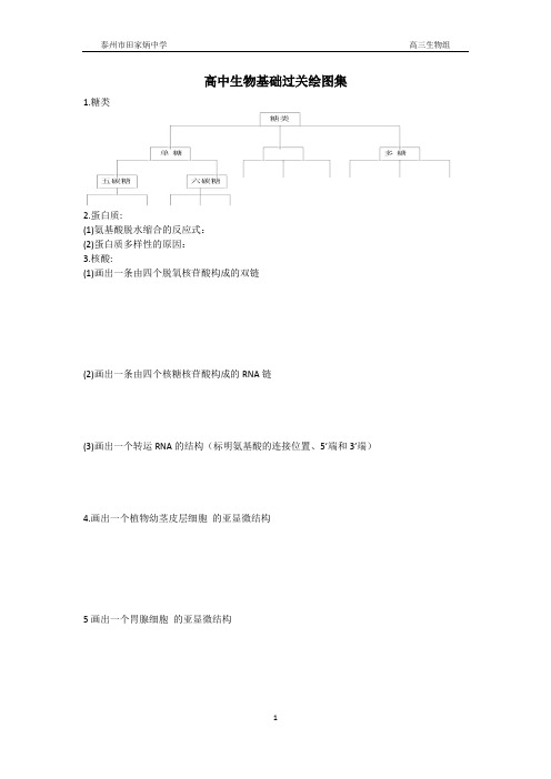 高中生物高考考前基础知识梳理——生物基础过关绘图集【校内使用】