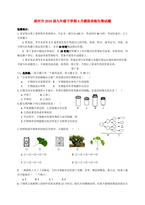 山东省滨州市2016届九年级生物下学期4月模拟训练试题