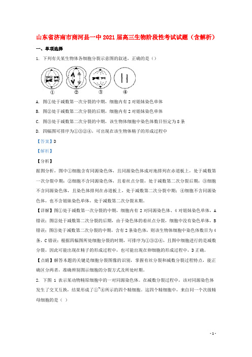 山东省济南市商河县一中2021届高三生物阶段性考试试题含解析