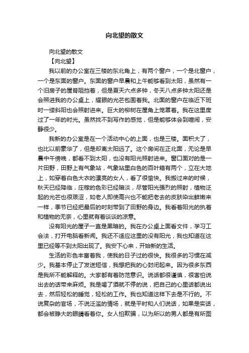 向北望的散文