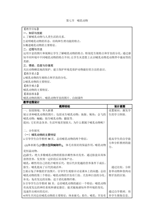 人教版八年级生物上册第五单元 第一章 第七节 哺乳动物  教案