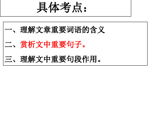 记叙文阅读之句子赏析已讲ppt课件