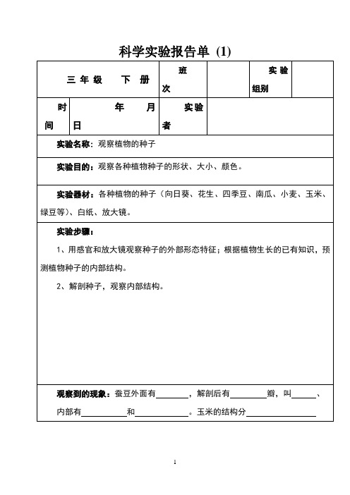 科学实验报告单