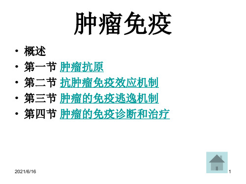 肿瘤免疫PPT课件