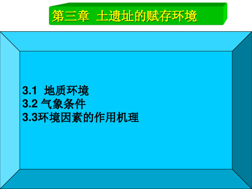 文物保护-土遗址-第三章上