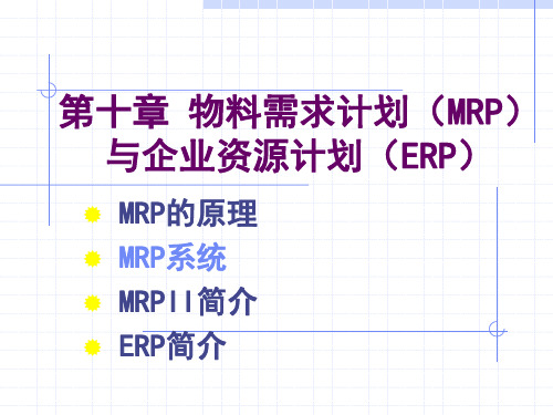 第十章 MRP系统(1)