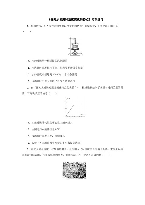 实验专题：《探究水沸腾时温度变化的特点》专题练习 2022-2023学年教科版物理八年级上册