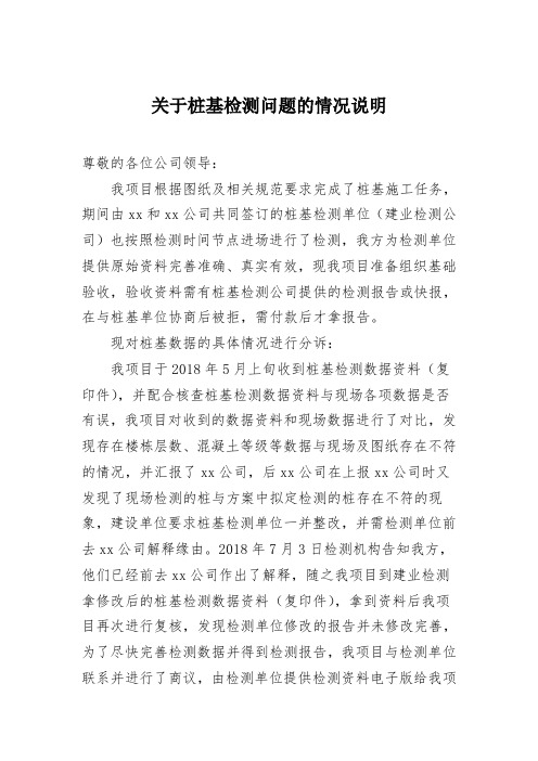 关于某项目桩基检测事宜的情况说明