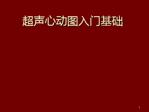 超声心动图入门基础第二部分PPT课件