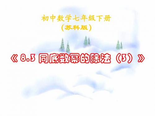 8.3 同底数幂的除法(3)