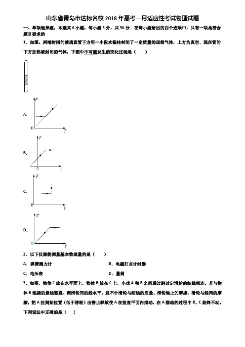 山东省青岛市达标名校2018年高考一月适应性考试物理试题含解析