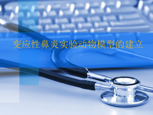 变应性鼻炎实验动物模型