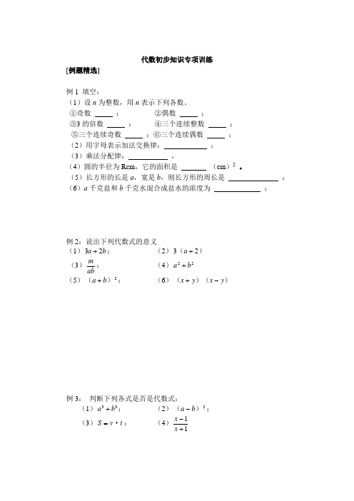 代数初步知识专项训练