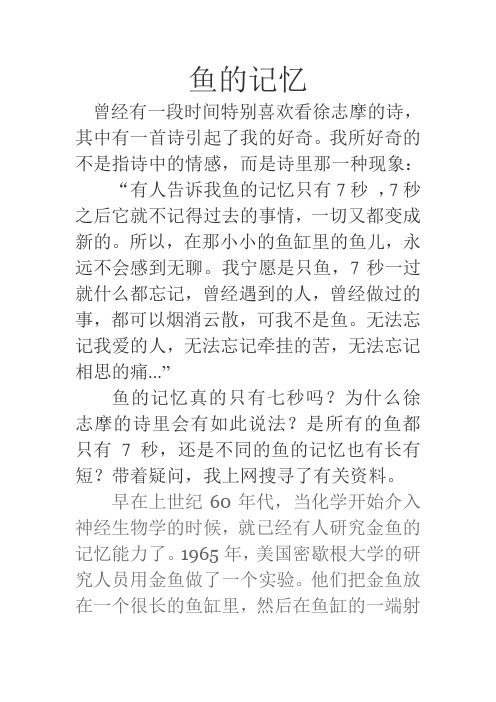 鱼的记忆