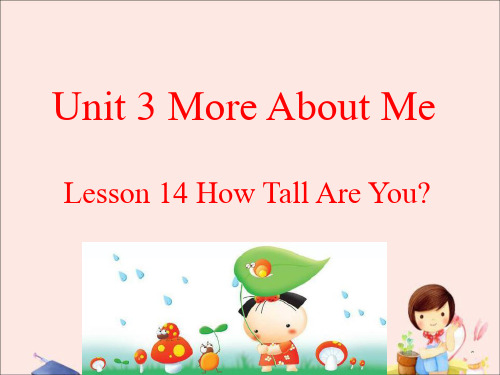 四年级下册英语课件-Unit 3 More About Me Lesson 14 How Tall
