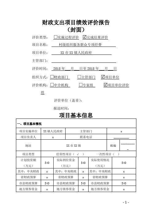 财政支出项目绩效评价报告(封面)【模板】