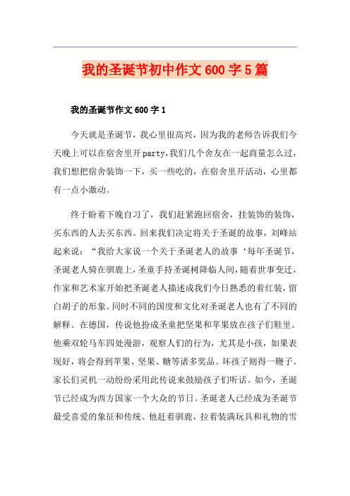 我的圣诞节初中作文600字5篇