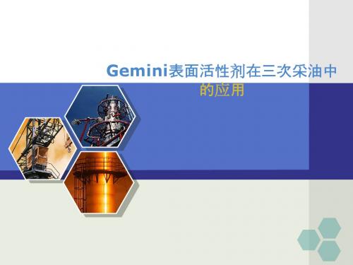 Gemini表面活性剂在三