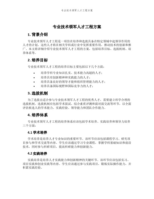 专业技术领军人才工程方案