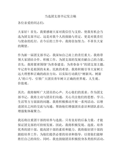 当选团支部书记发言稿