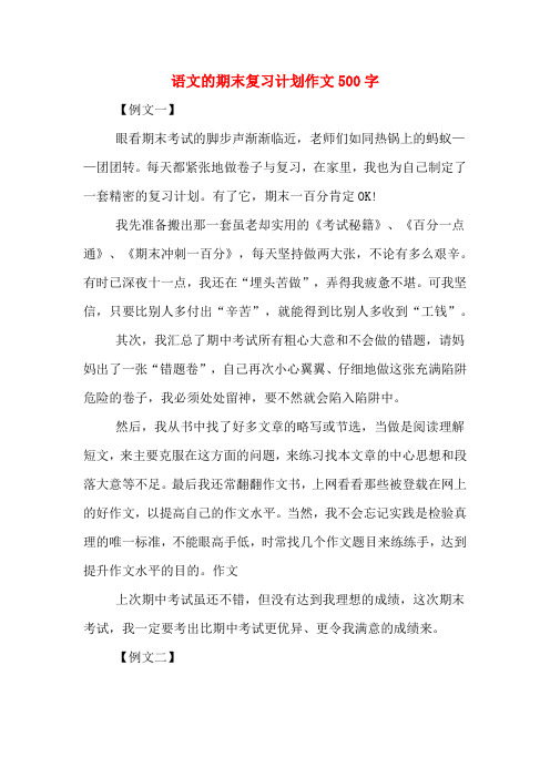 语文的期末复习计划作文500字