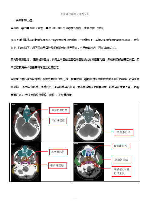 淋巴结(头颈胸分区整理)图示