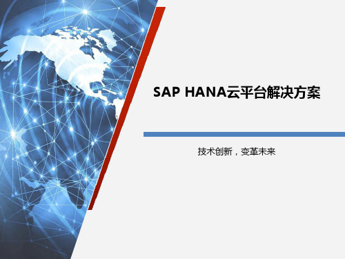 SAP HANA云平台解决方案