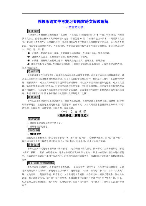 苏教版语文中考复习专题古诗文阅读理解