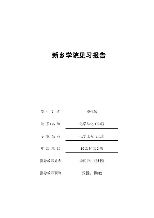 见习报告pdf