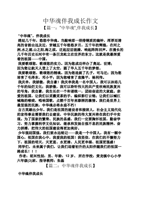 中华魂伴我成长作文