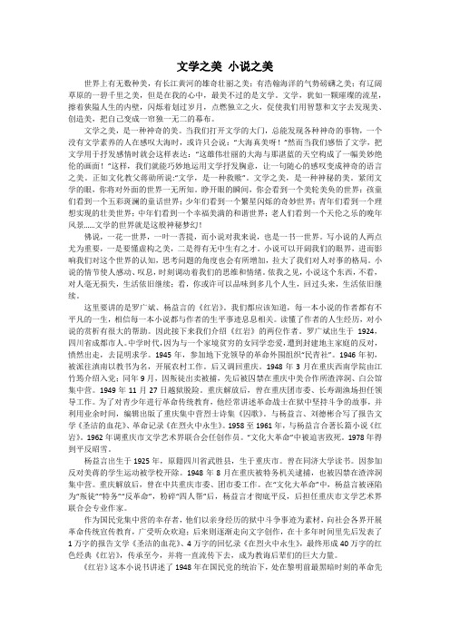 大学语文小说《红岩》之美