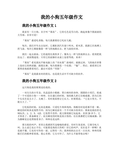 我的小狗五年级作文