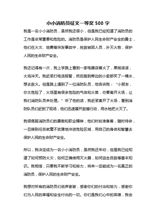 小小消防员征文一等奖500字