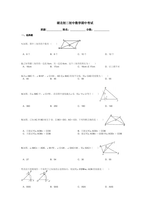 湖北初二初中数学期中考试带答案解析
