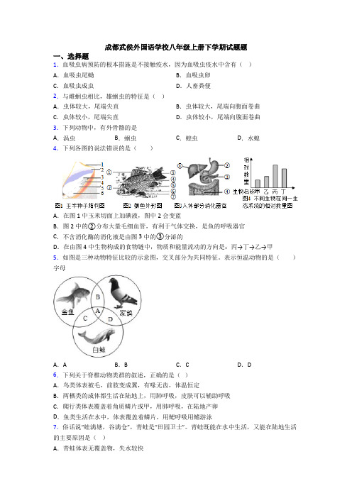 成都武侯外国语学校八年级上册下学期试题题