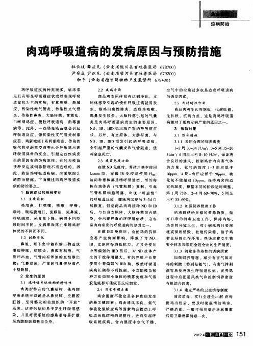 肉鸡呼吸道病的发病原因与预防措施