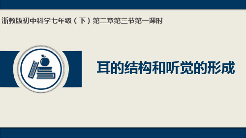 浙教版七年级下册 23 耳和听觉 第一课时 耳的结构和听觉的形成13张