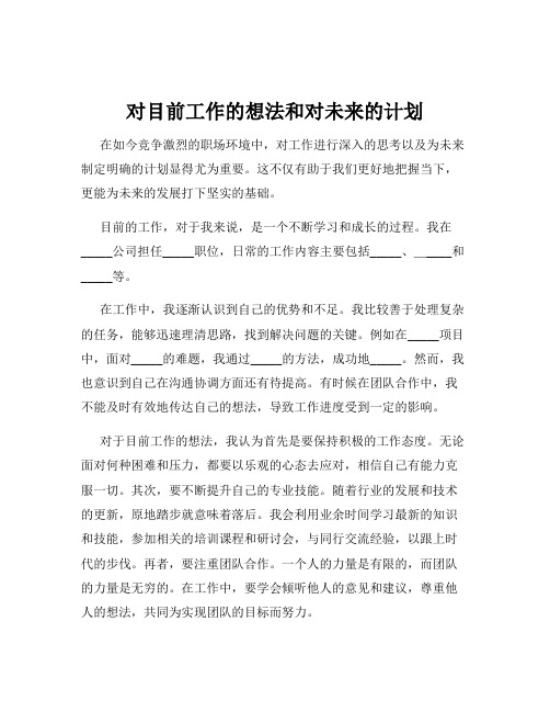 对目前工作的想法和对未来的计划