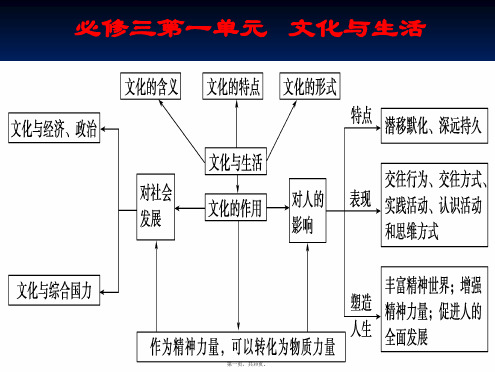 高二政治课件123聚焦文化竞争力4新必修3