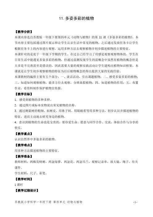 苏教版小学科学一年级下册第四单元《多姿多彩的植物》优秀教案