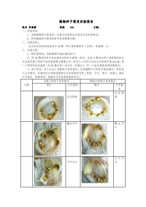 植物种子萌发实验记录表