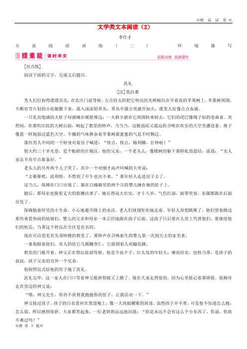 【新部编版】2019-2020年高考语文总复习第二部分现代文阅读专题二文学类文本阅读(2)(含解析)