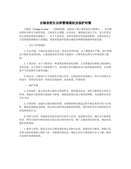 古银杏的生长和管理现状及保护对策