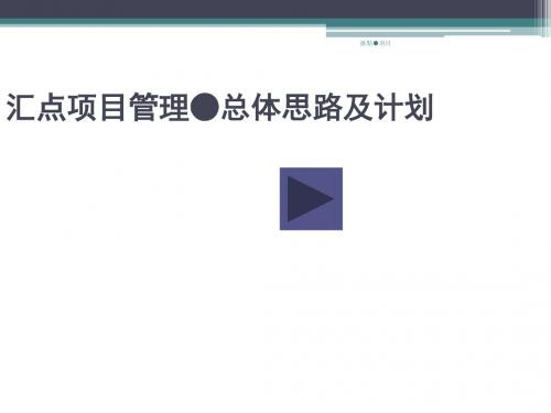 汇点项目管理总体思路及计划讲义(PPT 29张)