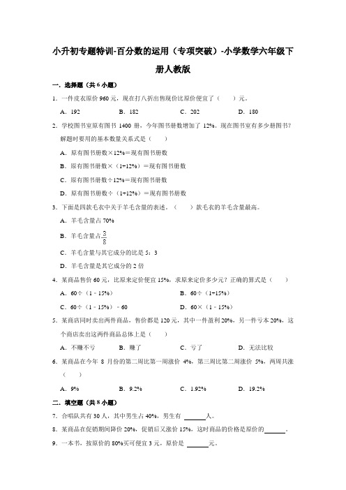 小升初专题特训-百分数的运用(专项突破)-小学数学六年级下册人教版