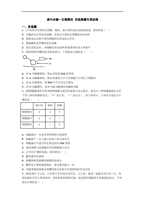 高中必修一生物期末 非选择题专项试卷