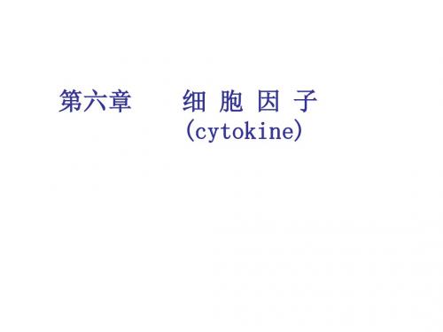 第6章  细胞因子(cytokine)