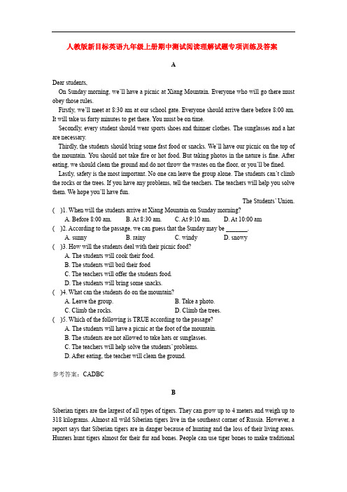 人教版新目标英语九年级上册期中测试阅读理解试题专项训练及答案