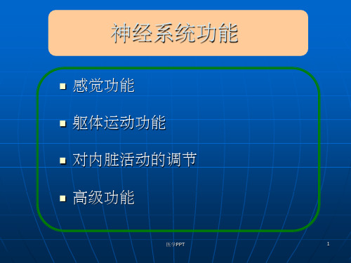 《神经系统功能》PPT课件